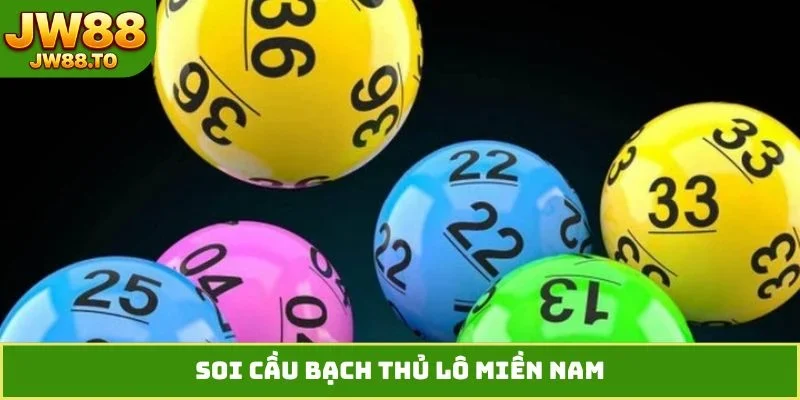 soi-cau-bach-thu-lo-mien-nam-la-gi